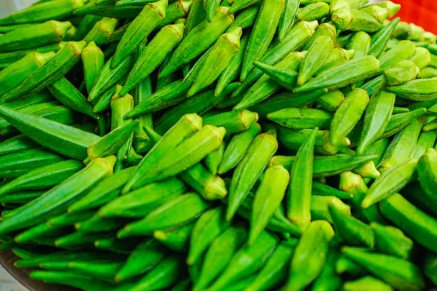 Fresh Vindi (Okra)